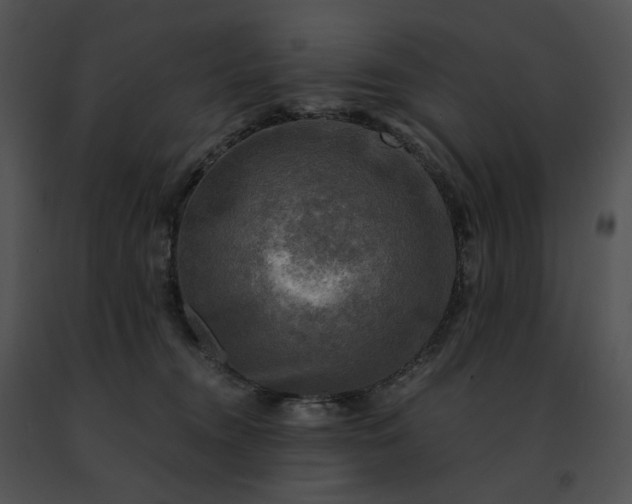 X0000091480372200708301919