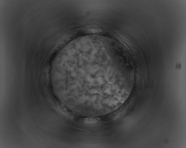 X0000091480373200708301920