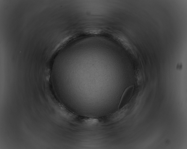 X0000091480374200708301920