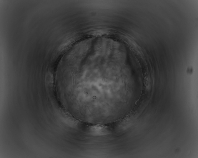 X0000091480375200708301920