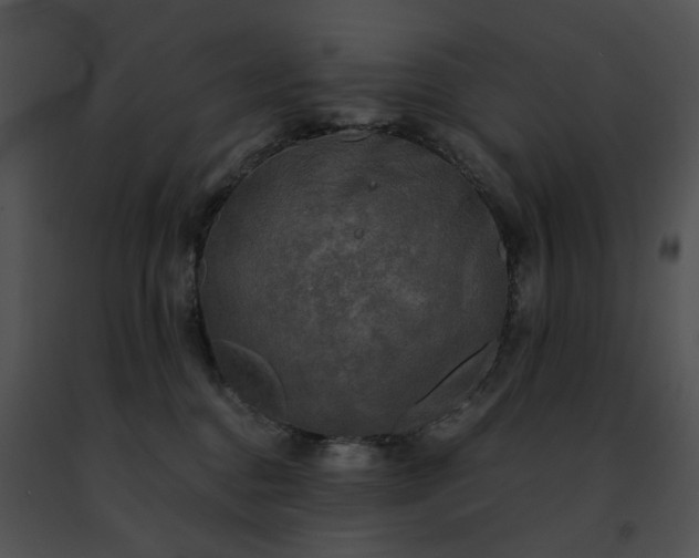 X0000091480376200708301920