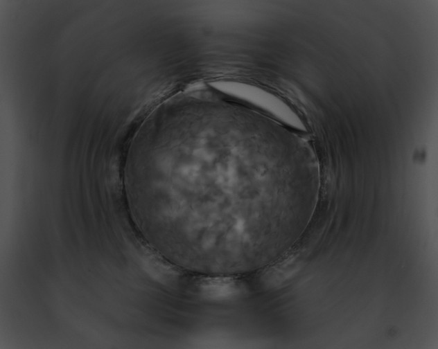 X0000091480377200708301920