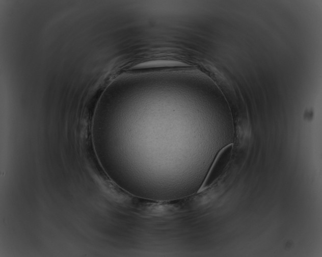 X0000091480379200708301920