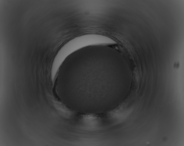 X0000091480380200708301920