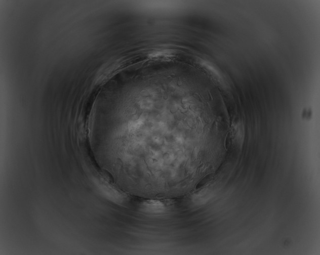 X0000091480381200708301920