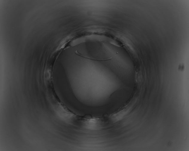 X0000091480382200708301920