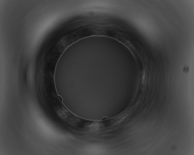 X0000091480383200708301920