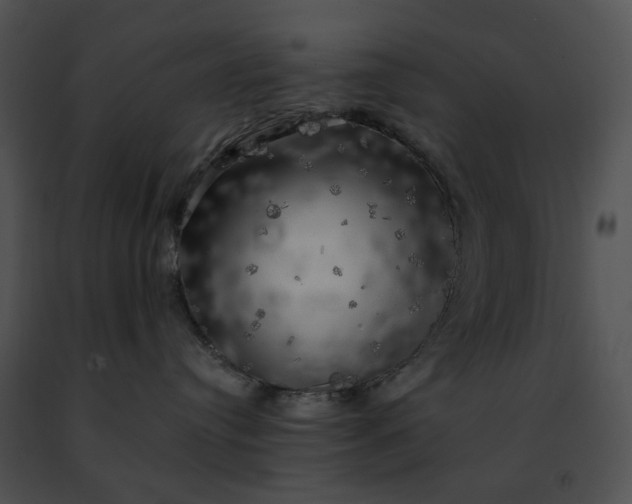 X0000091480384200708301920