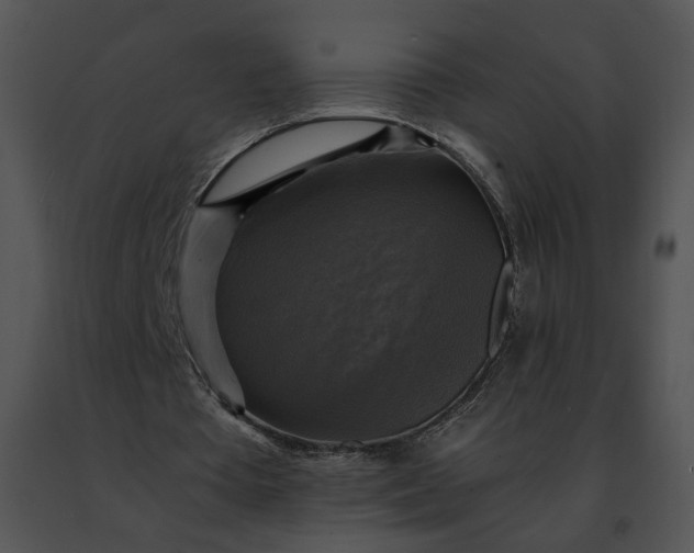 X0000091480385200708301919