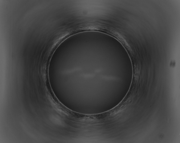 X0000091480386200708301919