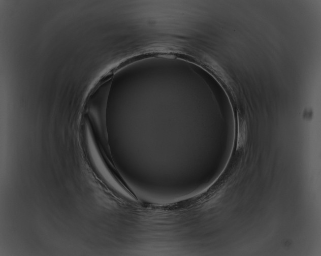 X0000091480387200708301919