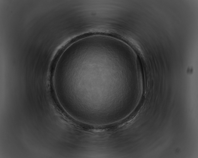 X0000091480388200708301919