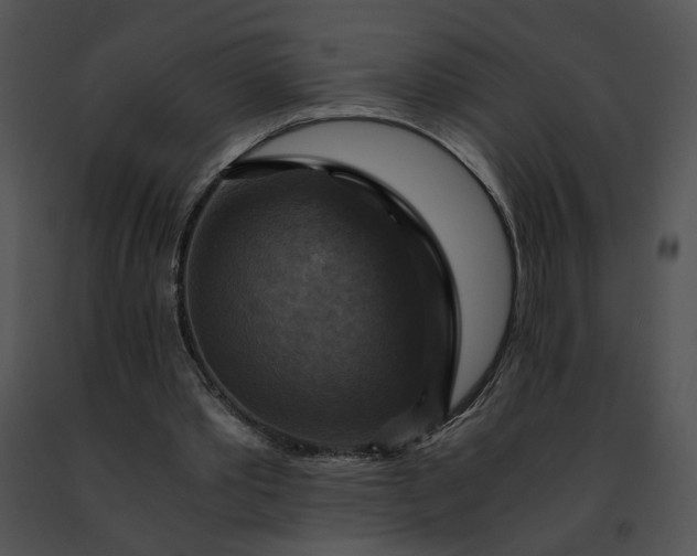 X0000091480389200708301919