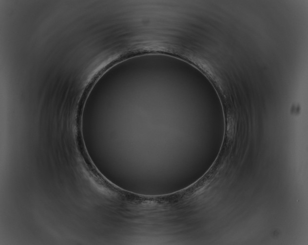 X0000091480390200708301919