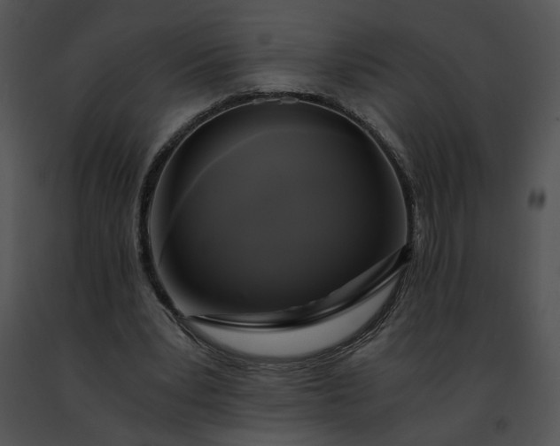 X0000091480391200708301919