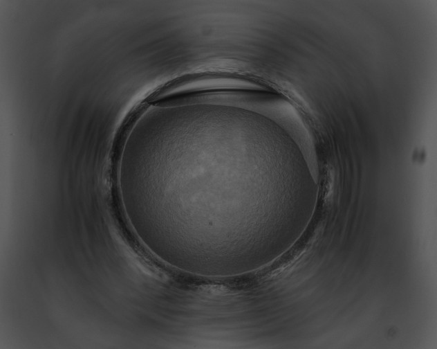 X0000091480392200708301919