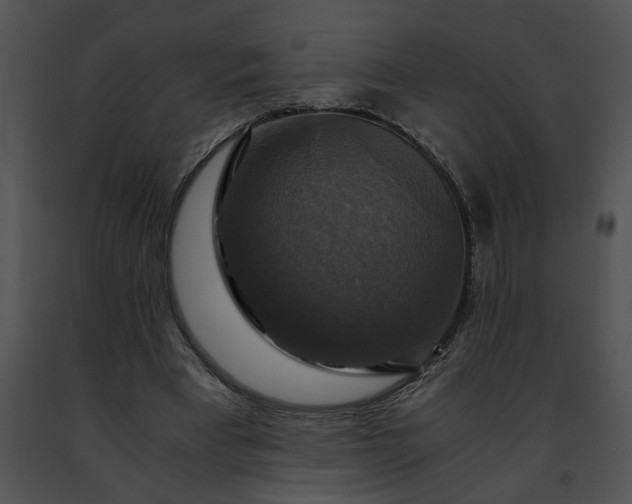 X0000091480393200708301919