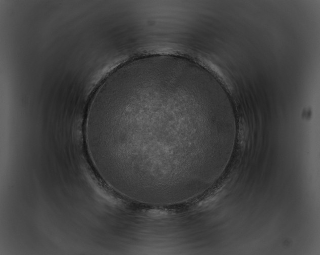 X0000091480394200708301919