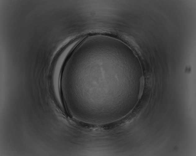 X0000091480395200708301919