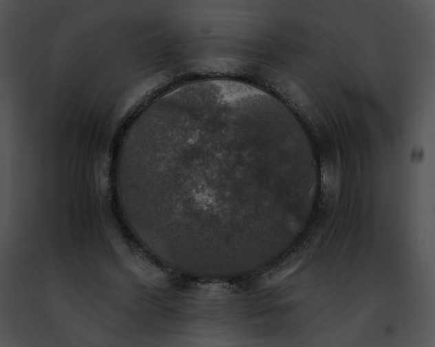 X0000091480396200708301919