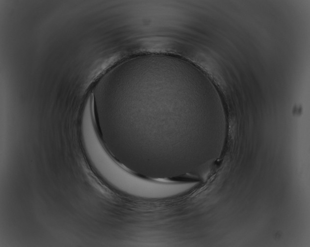 X0000091480397200708301919