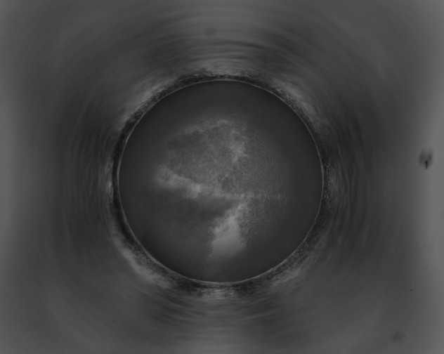 X0000091480398200708301919