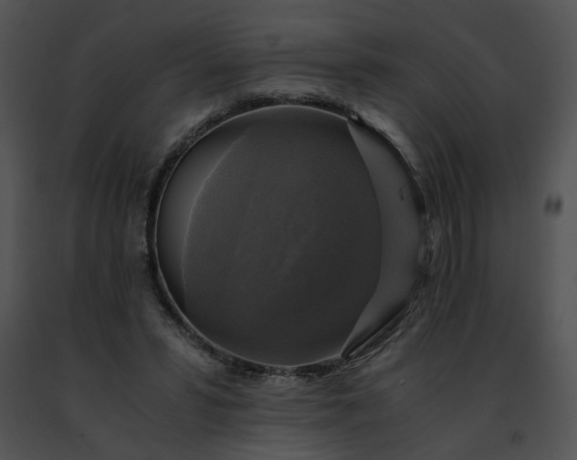 X0000091480399200708301919