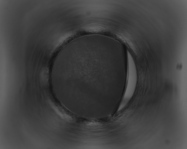 X0000091480400200708301919