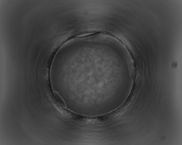 X0000091480401200708301919