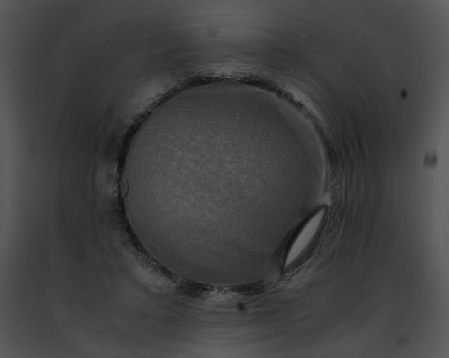 X0000091480403200708301919