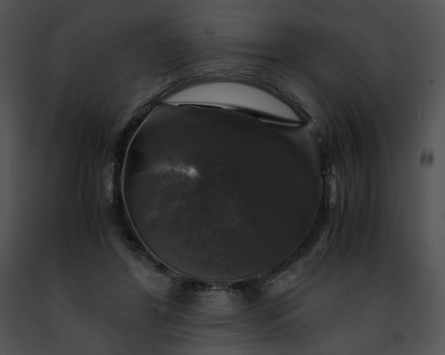 X0000091480404200708301919