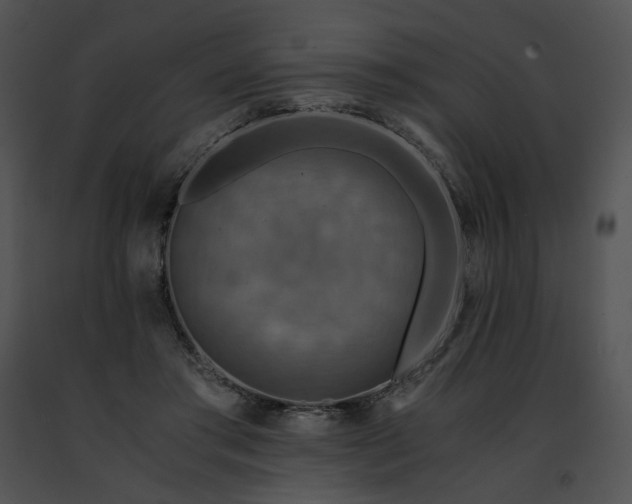 X0000091480405200708301919