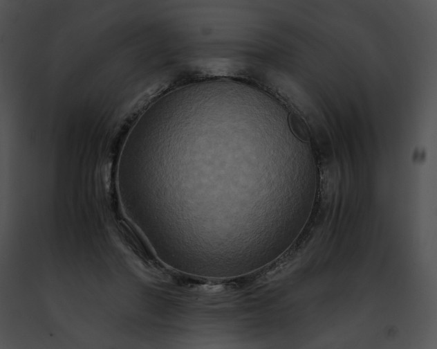 X0000091480406200708301919