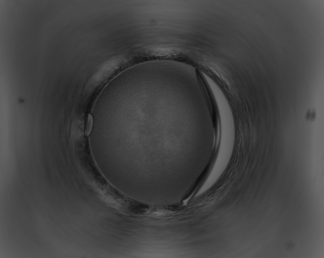 X0000091480407200708301919