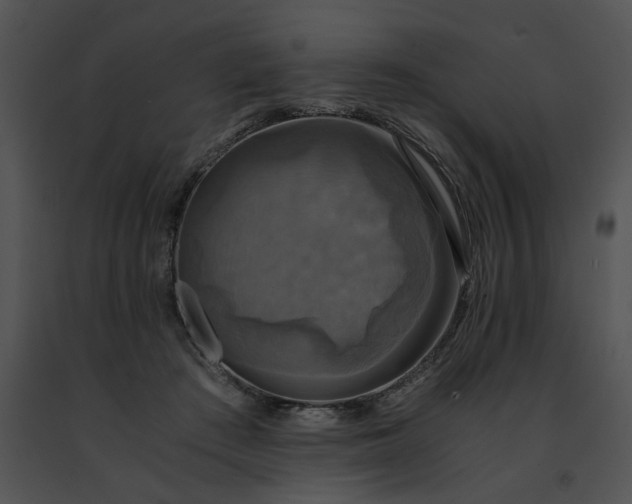 X0000091480409200708301919