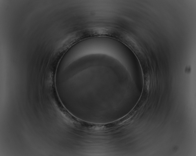 X0000091480410200708301919