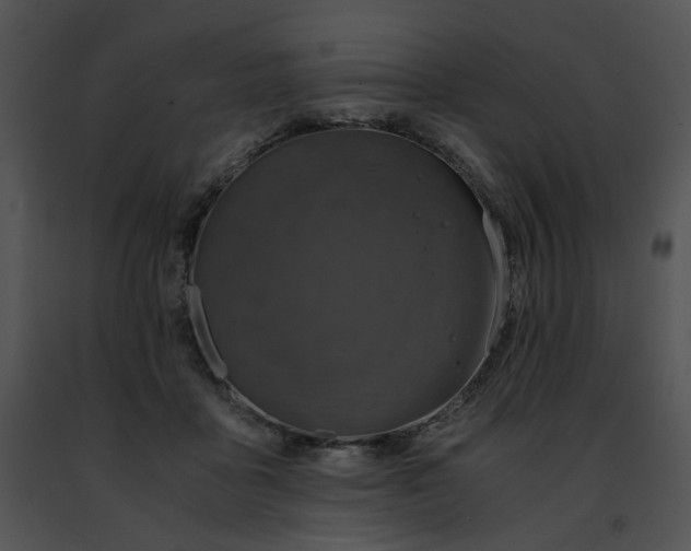 X0000091480411200708301919