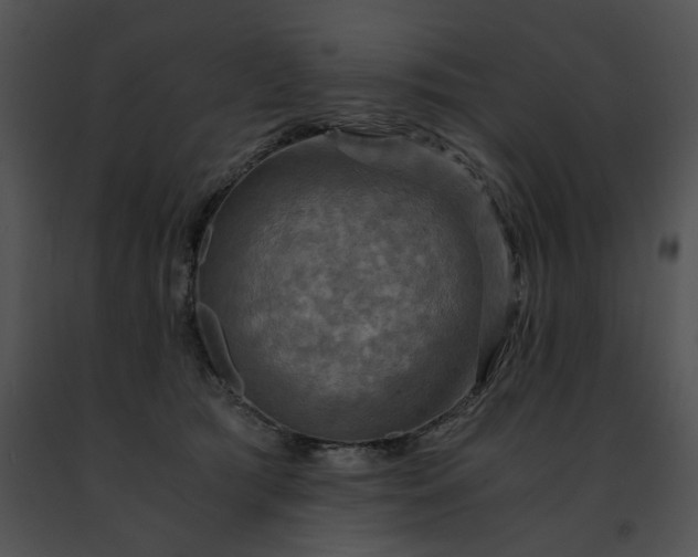 X0000091480417200708301918