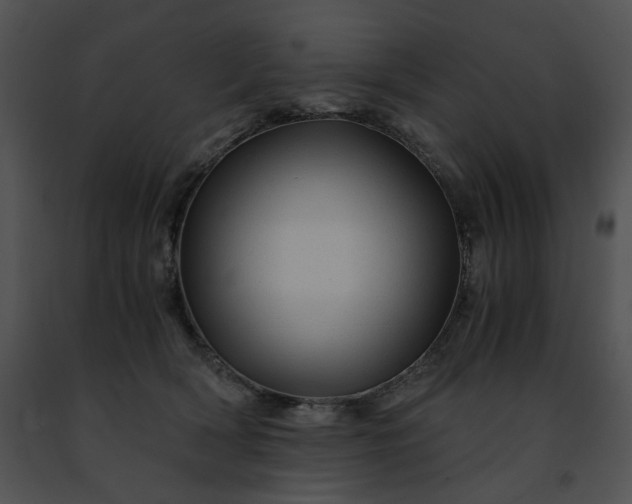 X0000091480418200708301918