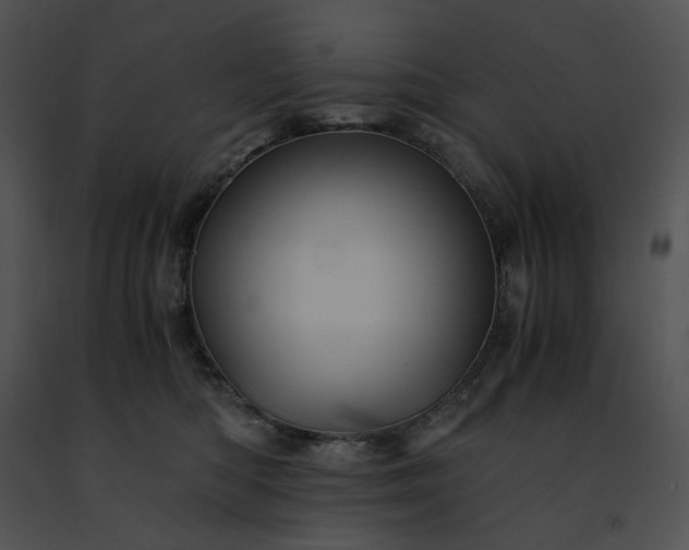 X0000091480422200708301918