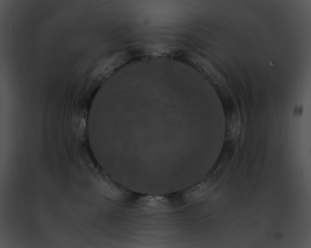 X0000091480427200708301918