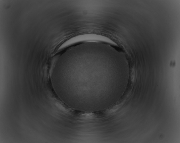 X0000091480428200708301918