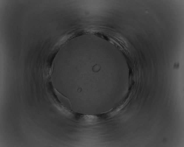 X0000091480429200708301918