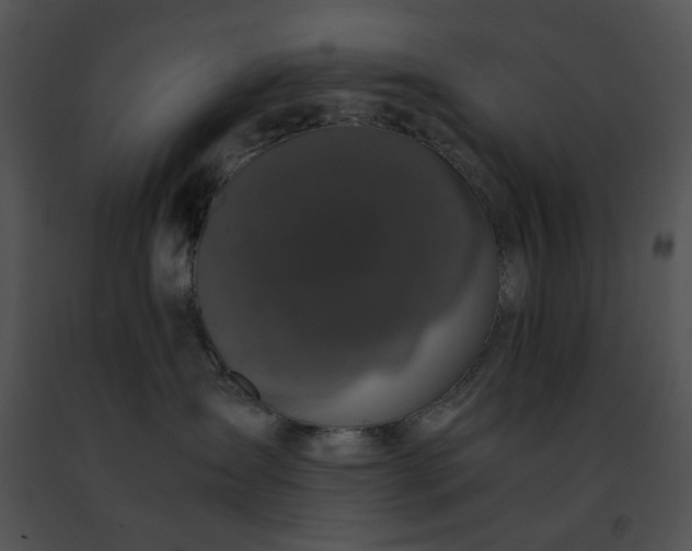 X0000091480431200708301918