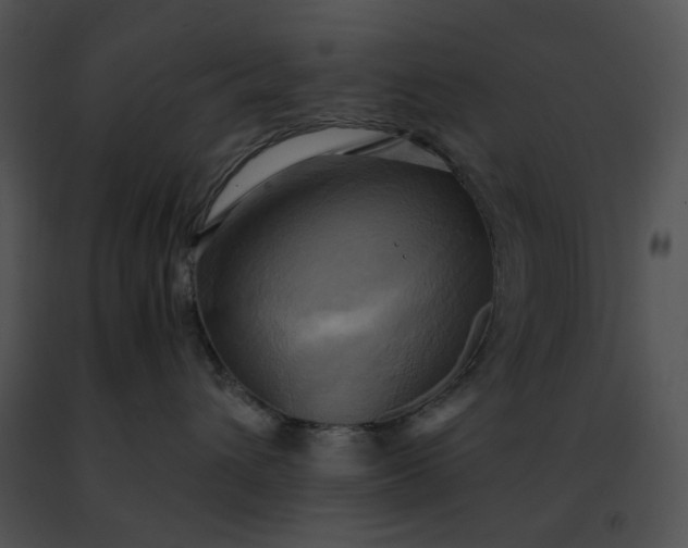 X0000091480432200708301918