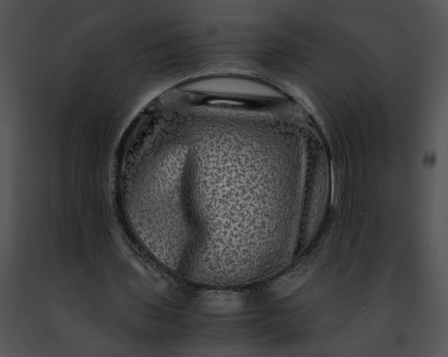 X0000091480435200708301918