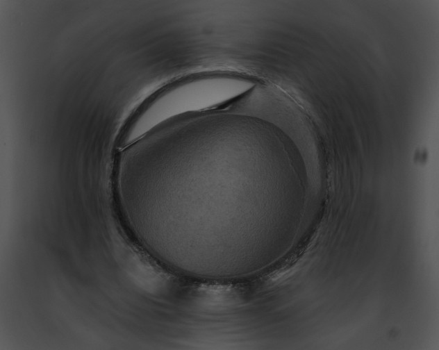 X0000091480440200708301918