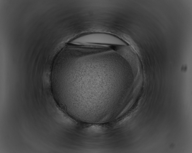 X0000091480441200708301918