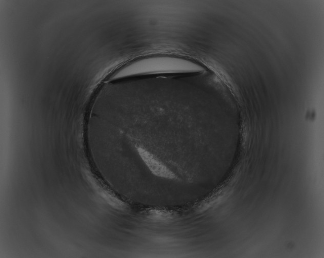 X0000091480442200708301918