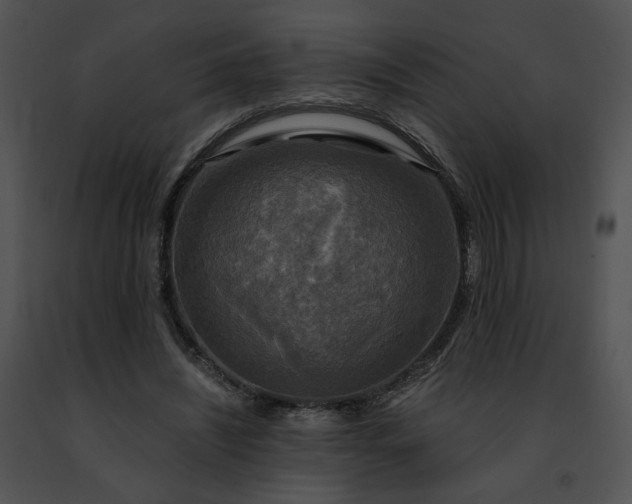 X0000091480444200708301918